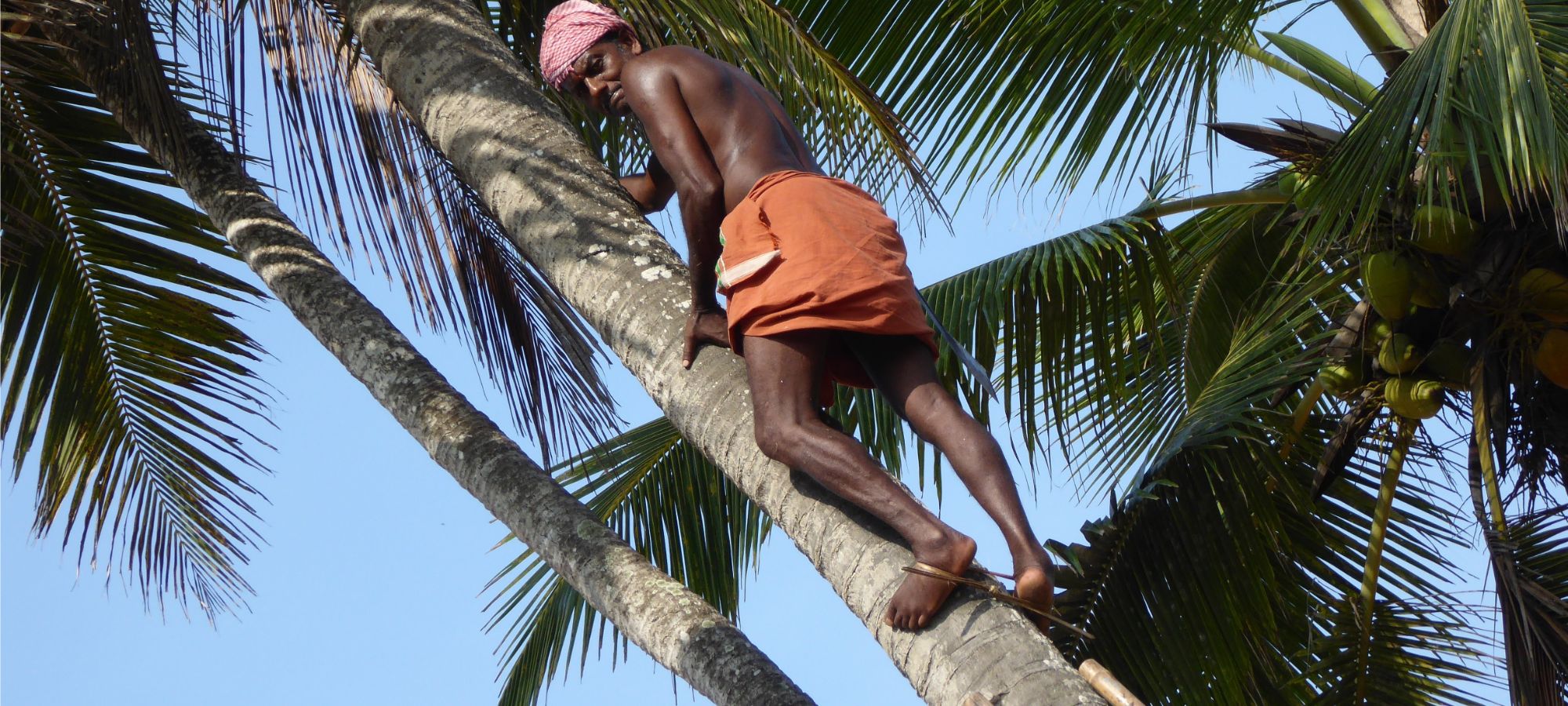 Cycling Holidays - Kerala - Tamil Nadu 